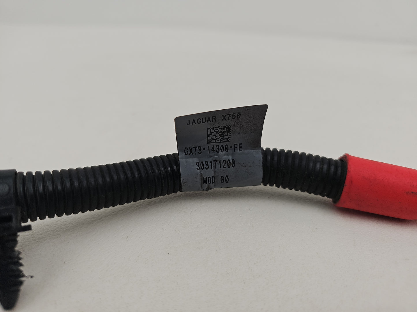 Engine Wiring Harness 6