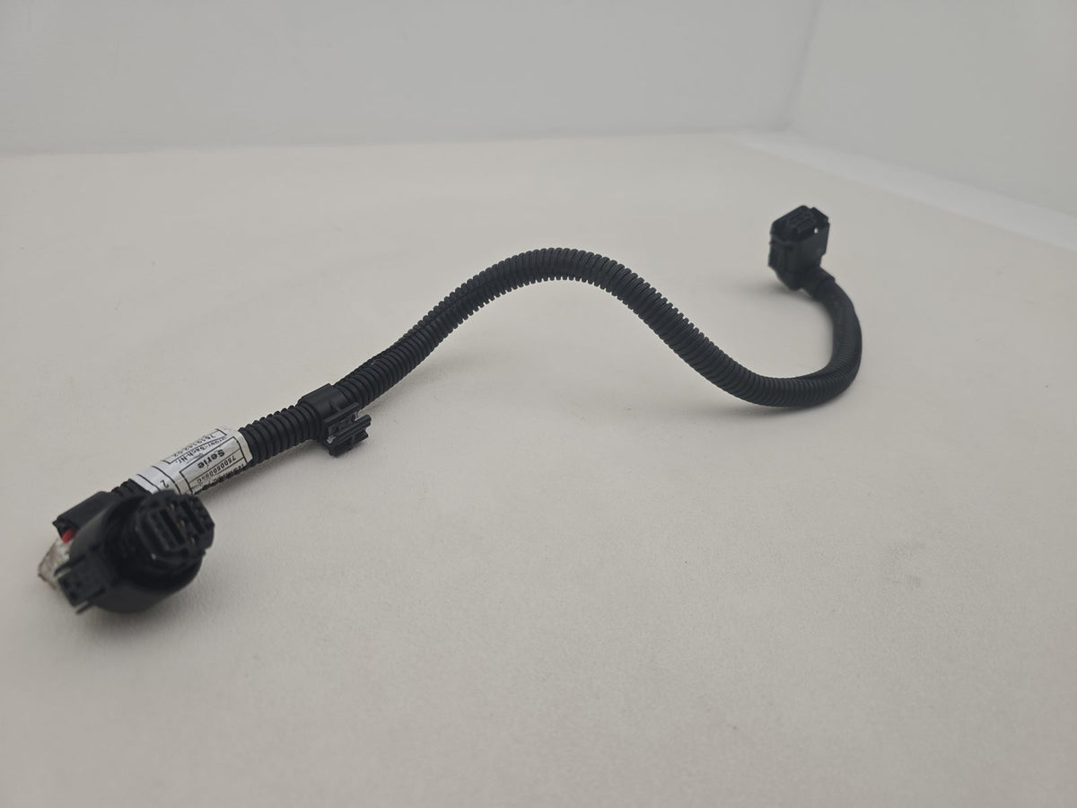 Engine Wiring Harness  3