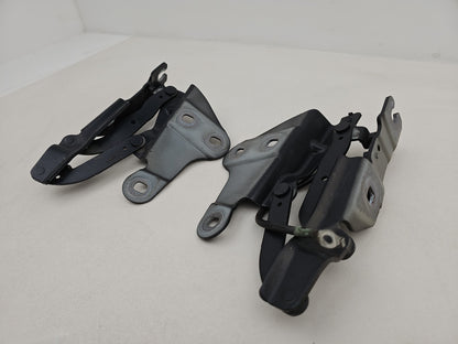 Bonnet Hinges 3