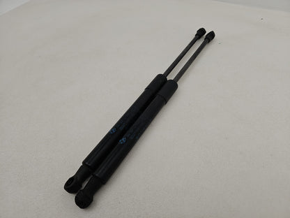 Bonnet Hinges 3