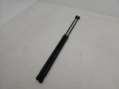 Tailgate Support Strut 3