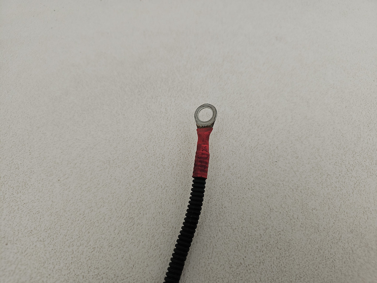 Engine Wiring Harness  3
