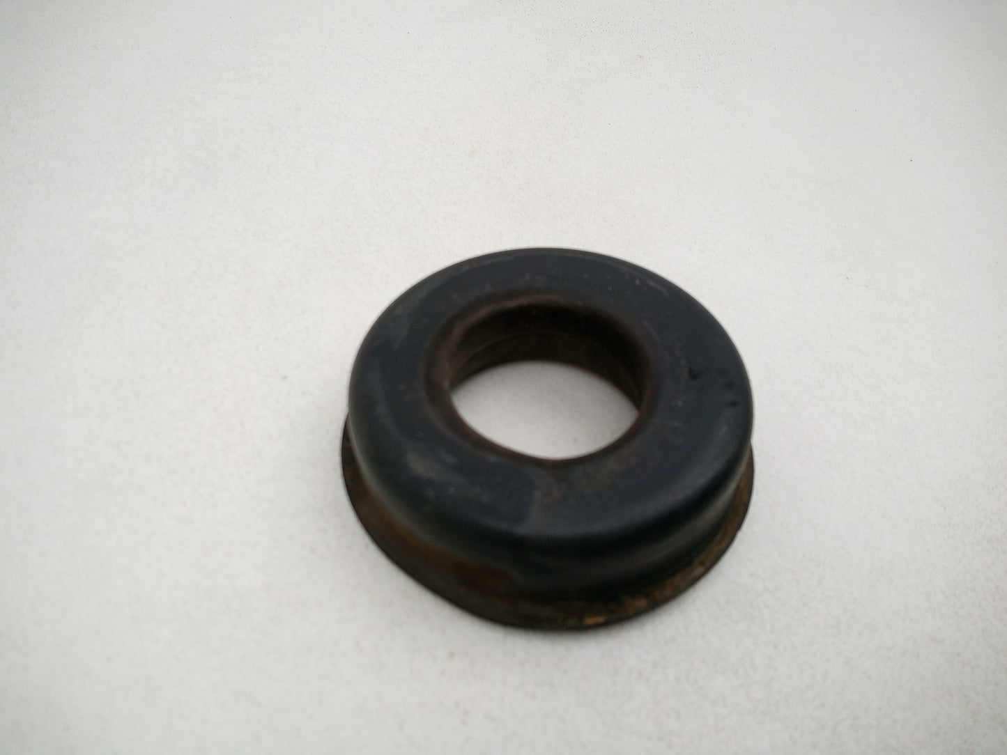 Jason Export Springs 3