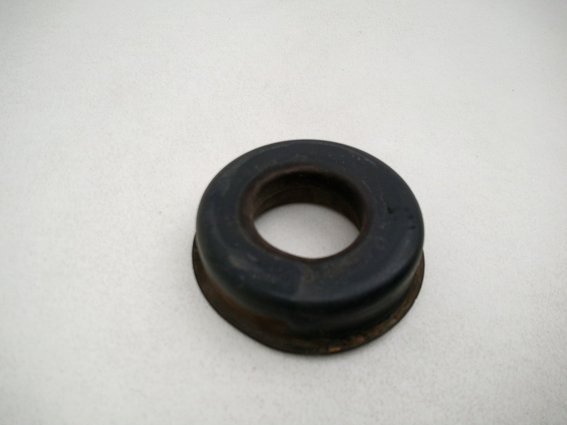 Jason Export Springs 3