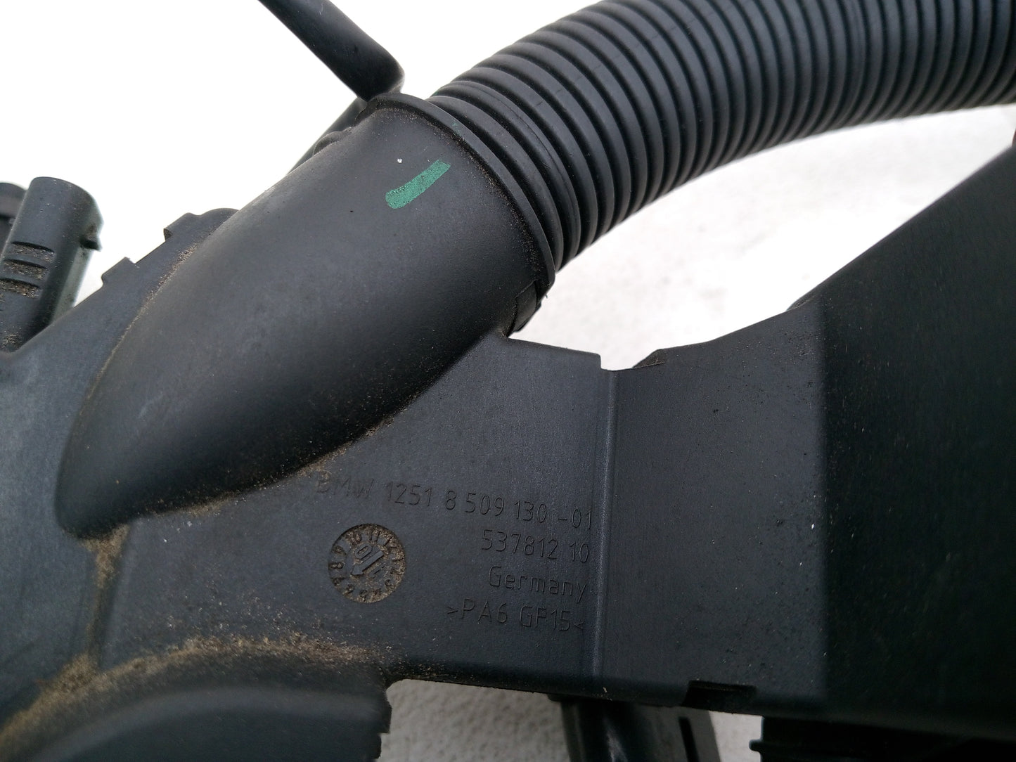Engine Wiring Harness  3