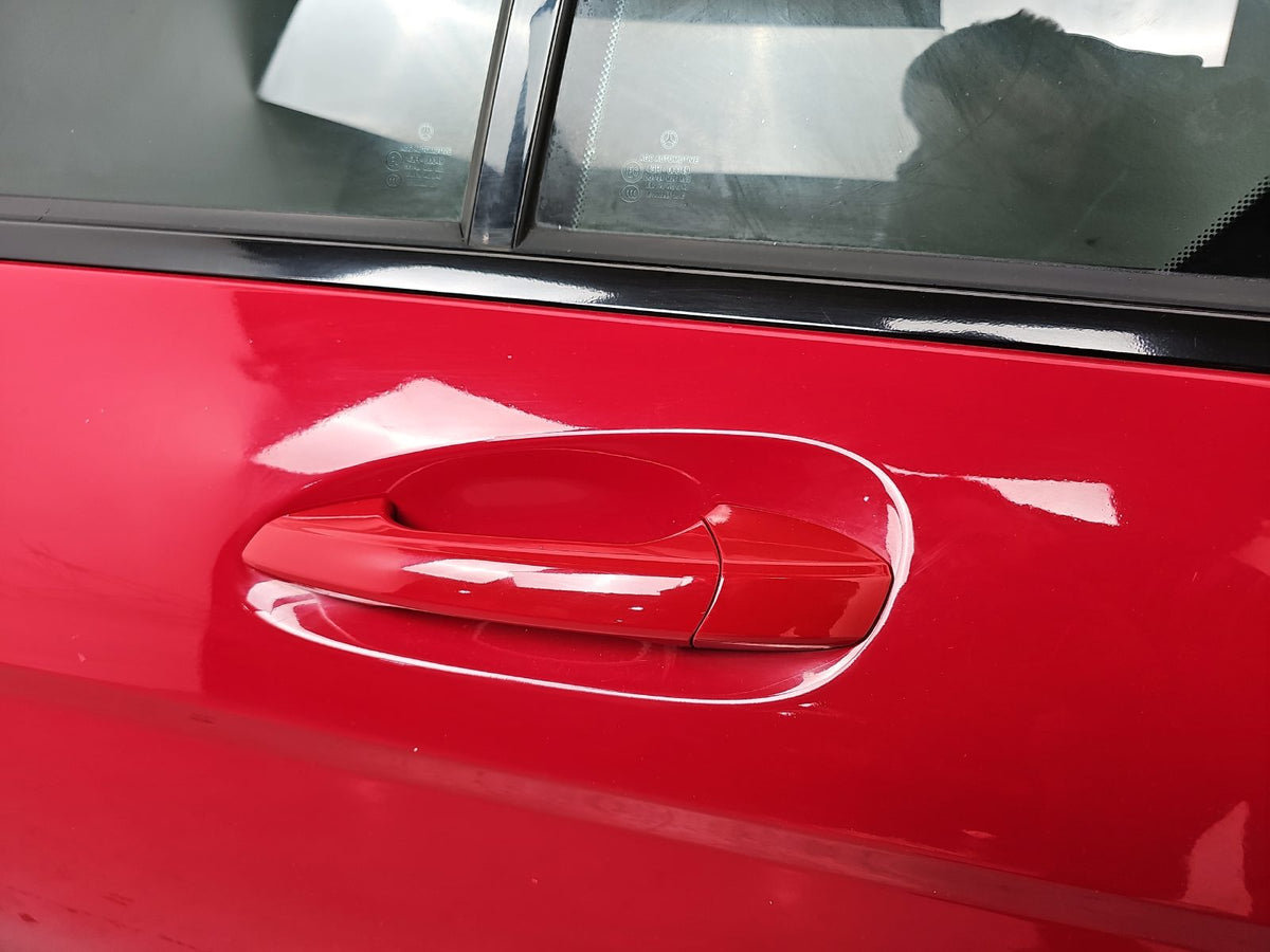 Door Rear LH 3