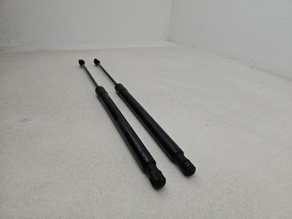 Tailgate Support Strut 3