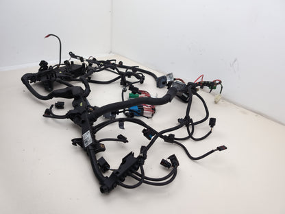 Engine Wiring Harness  3