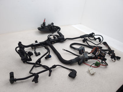 Wiring loom 3