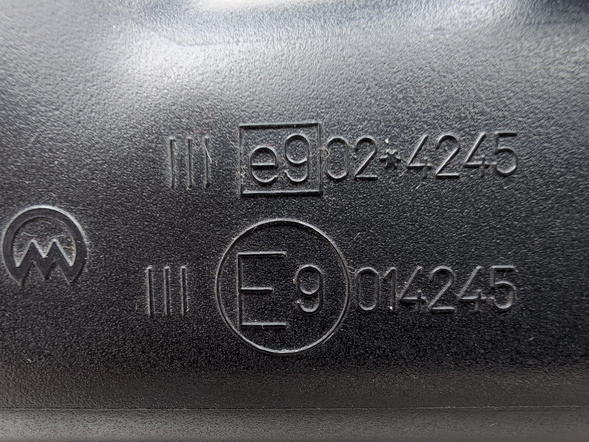 Door Mirror LH 9