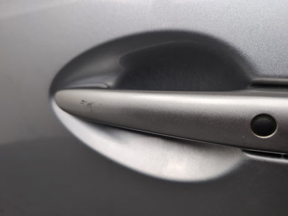 Door Front LH 5