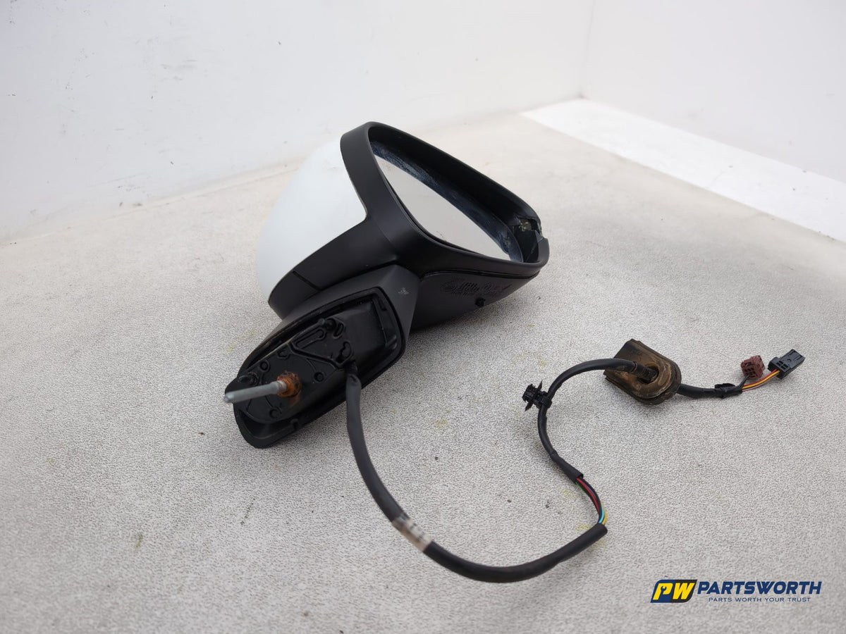 Door Mirror RH 3