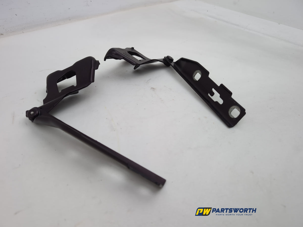 Bonnet Hinges 1