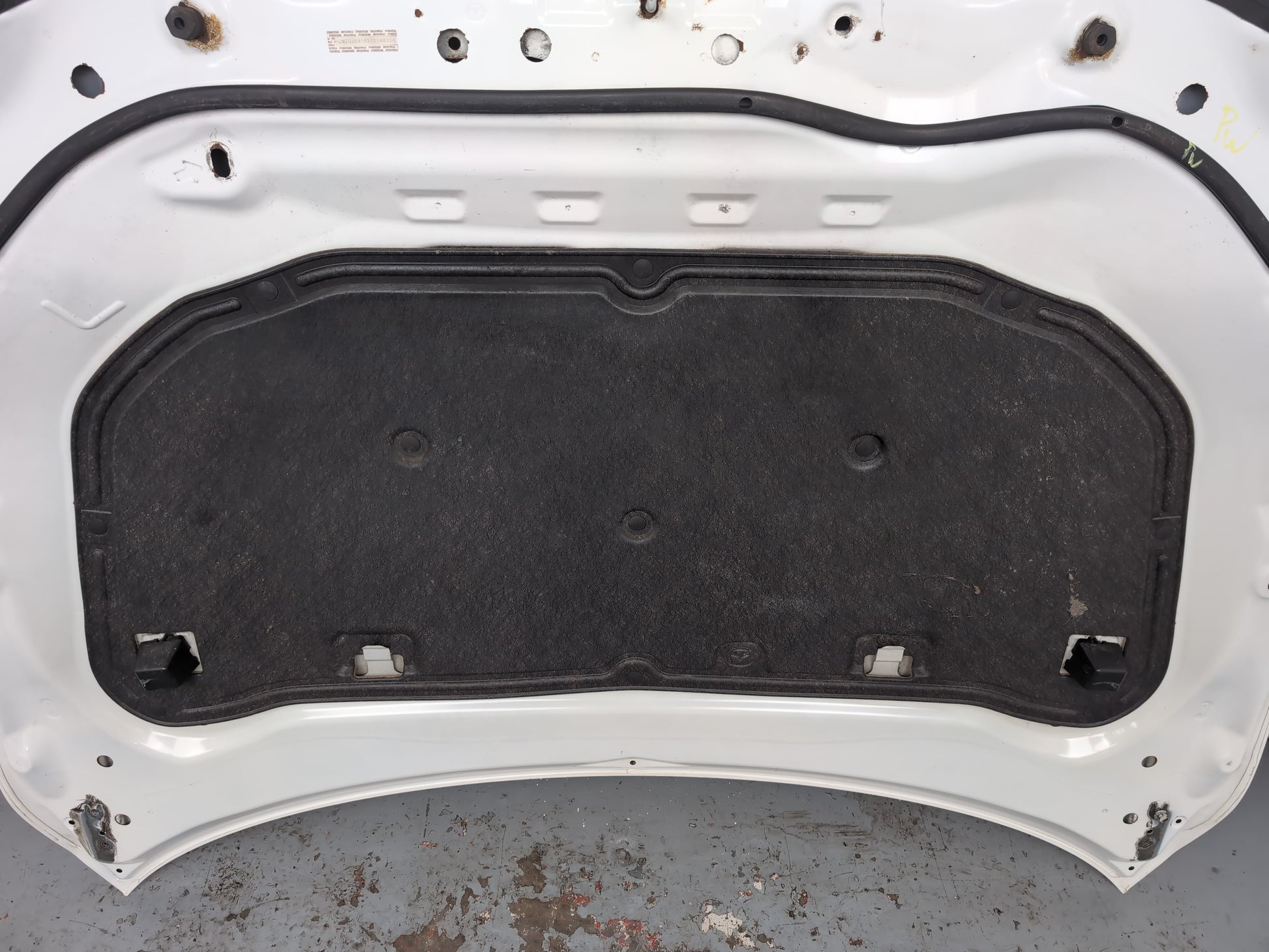 Bonnet 9