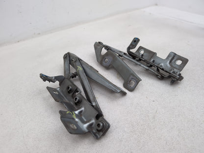 Bonnet Hinges 3