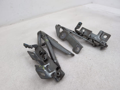 Bonnet Hinges 3