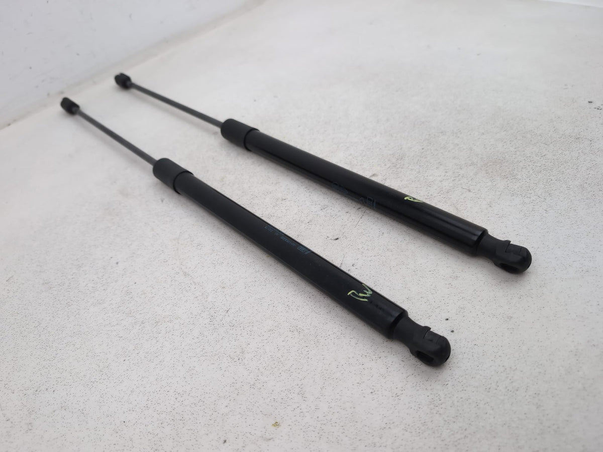 Tailgate Support Strut 3