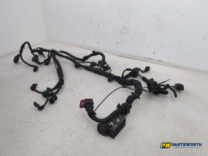 Engine Wiring Harness  3