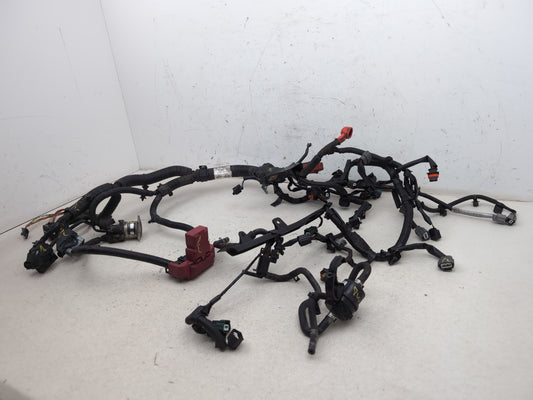 Engine Wiring Harness  2