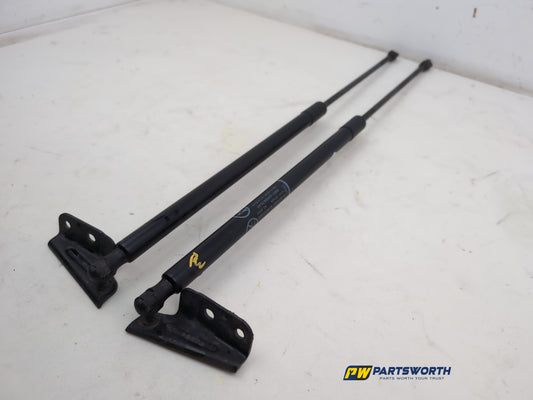 Tailgate Support Strut 2