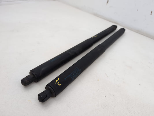 Tailgate Support Strut 2