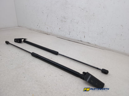 Tailgate Support Strut 2
