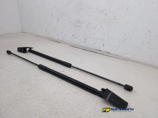 Tailgate Support Strut 2