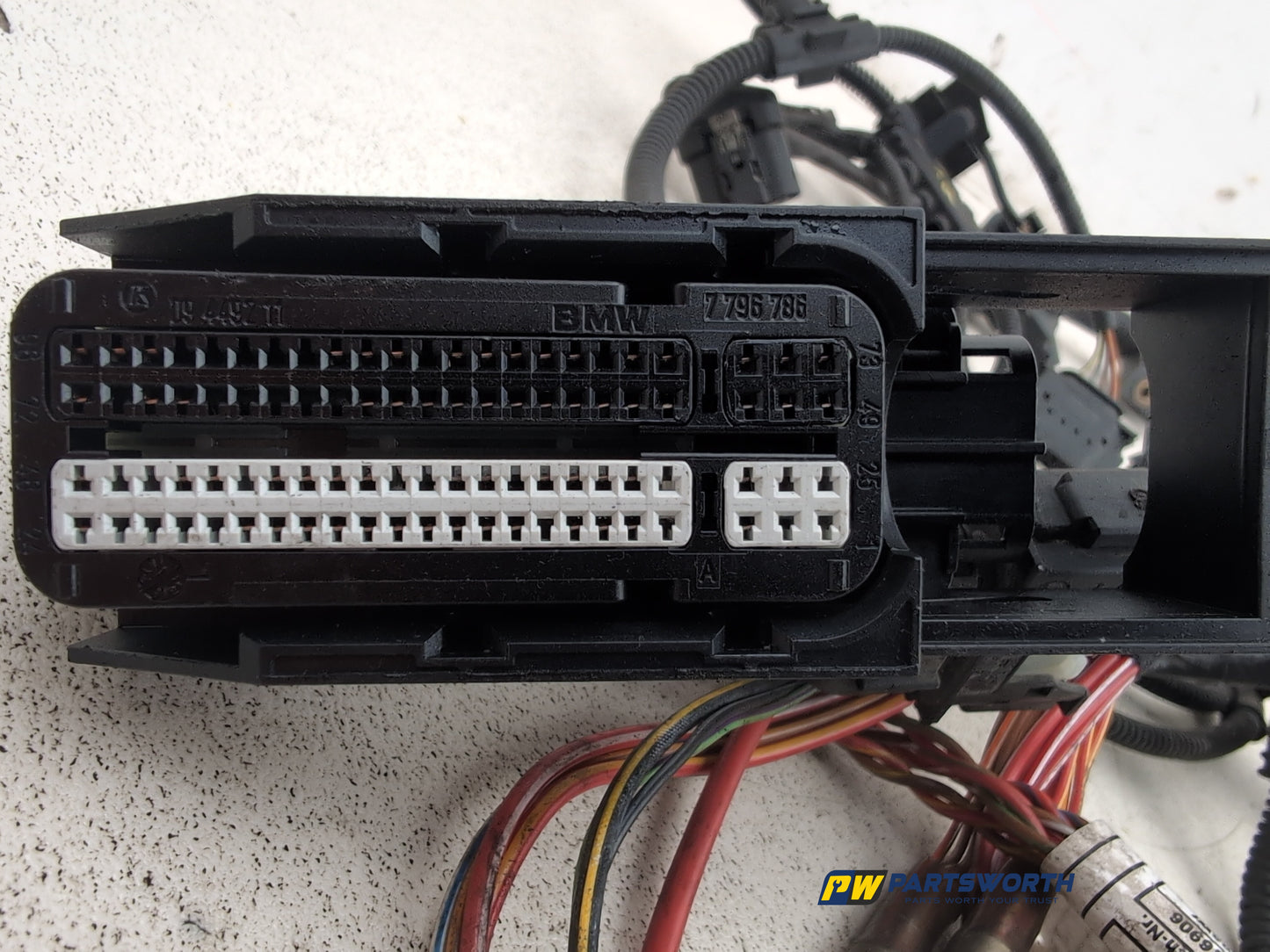 Engine Wiring Harness  2