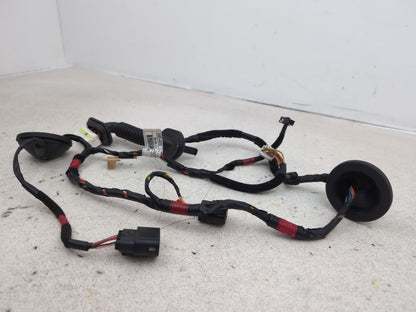 Wiring loom 2
