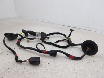 Wiring loom 2