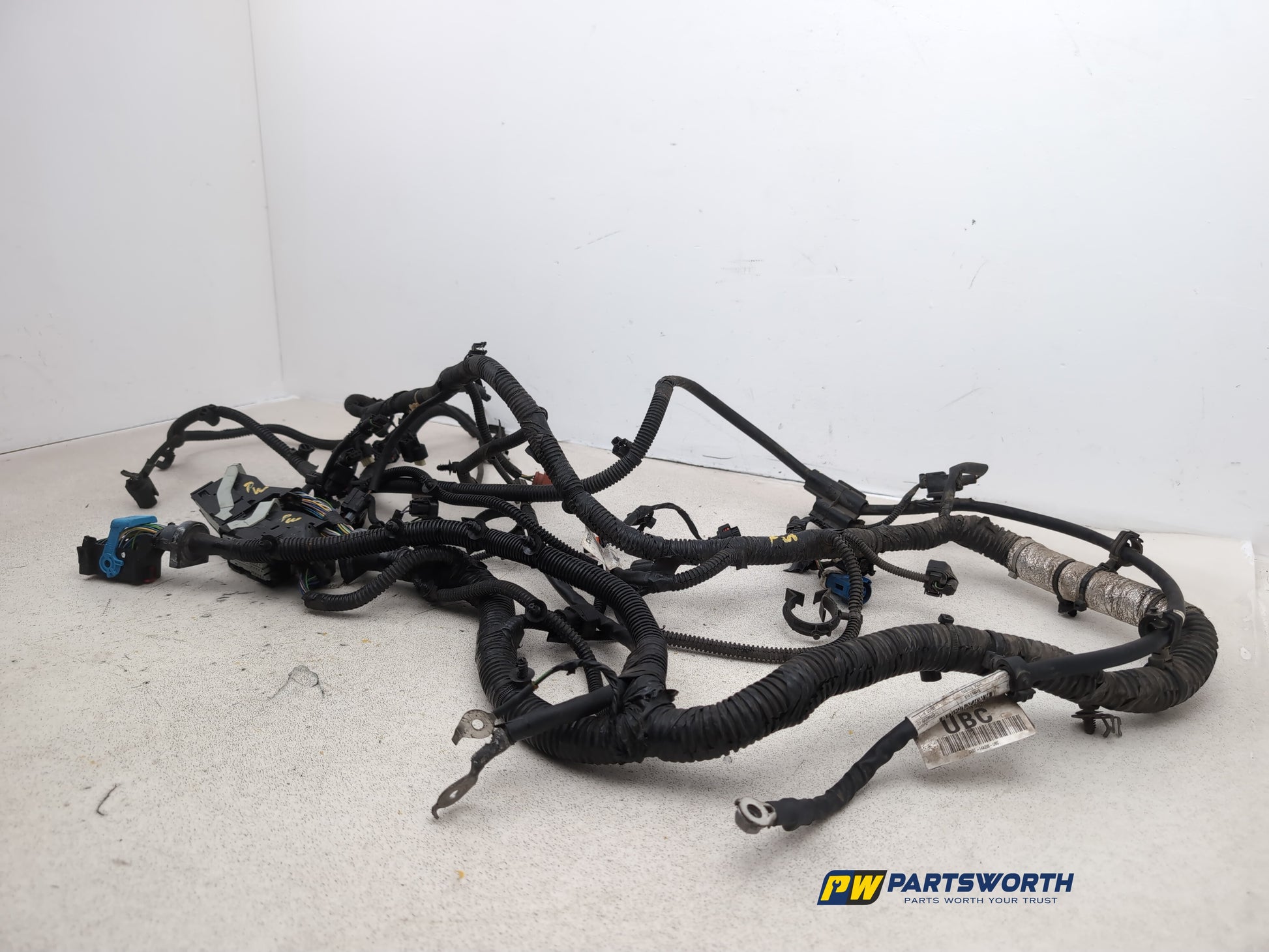 Engine Wiring Harness  2