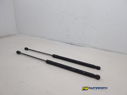 Tailgate Support Strut 3