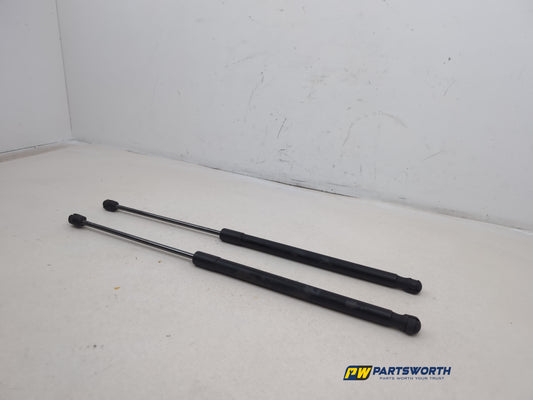Tailgate Support Strut 2