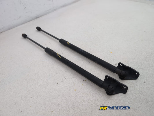 Tailgate Support Strut 2