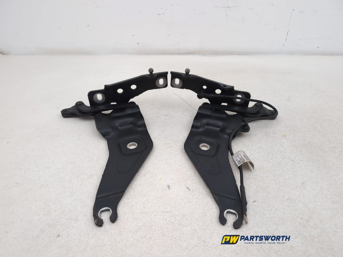 Bonnet Hinges 2