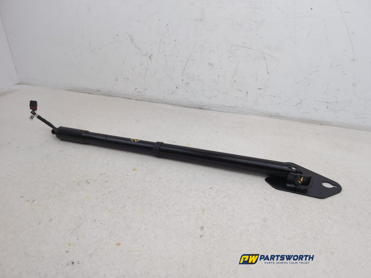 Tailgate Support Strut 2