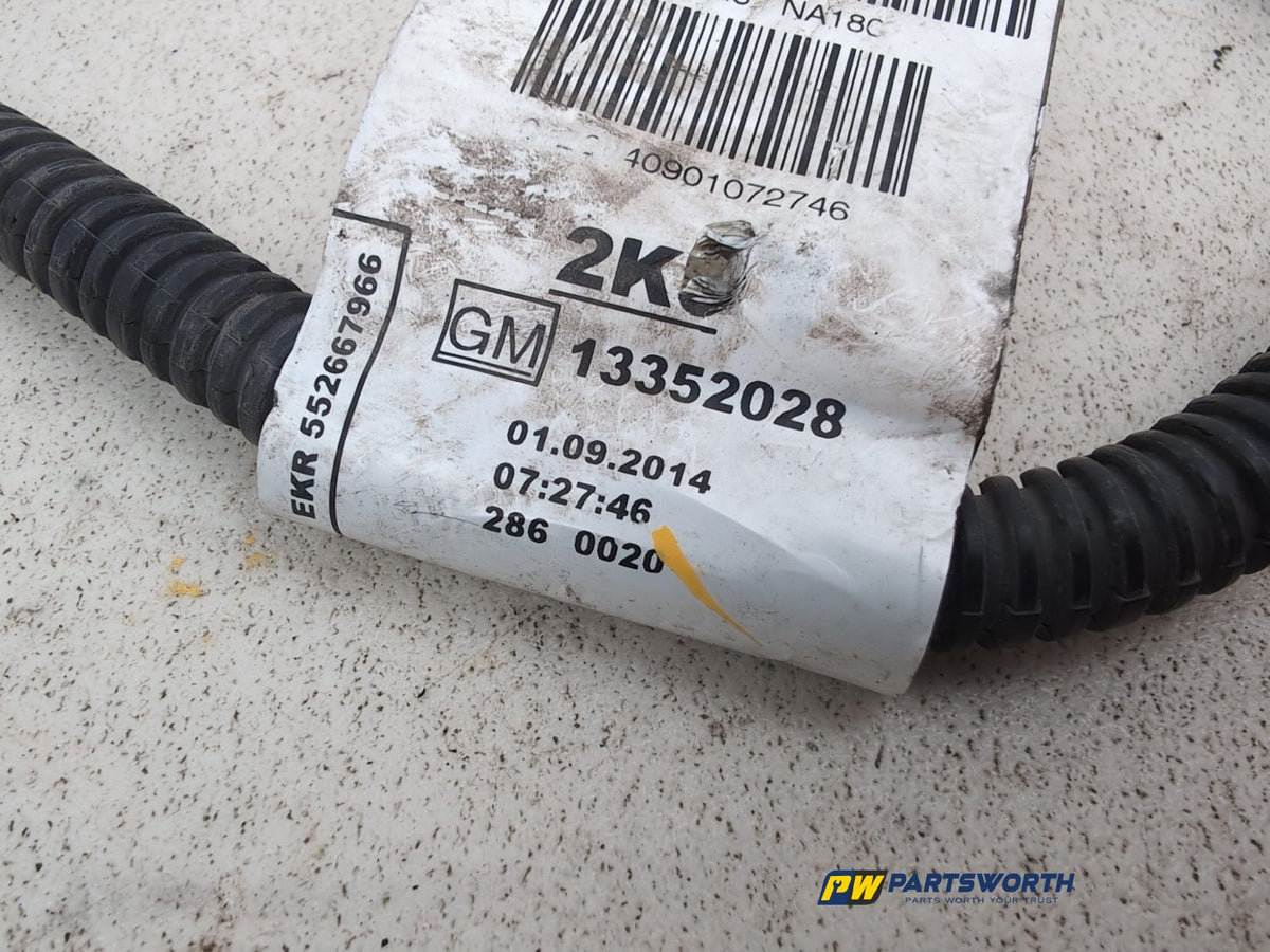 Engine Wiring Harness  2