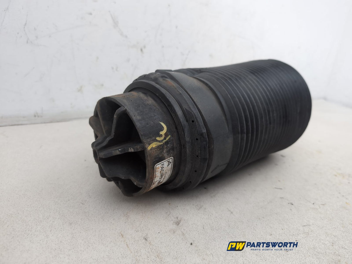Shock Absorber Rear LH 2