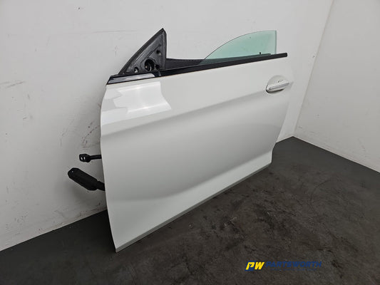 Door Front LH 2