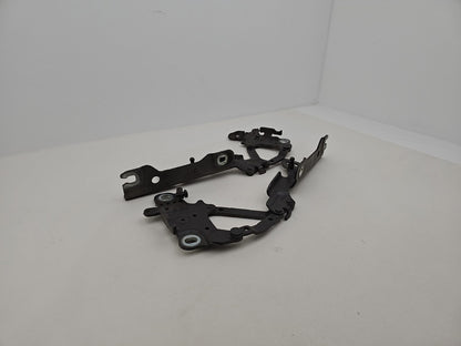 Bonnet Hinges 2
