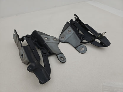 Bonnet Hinges 2