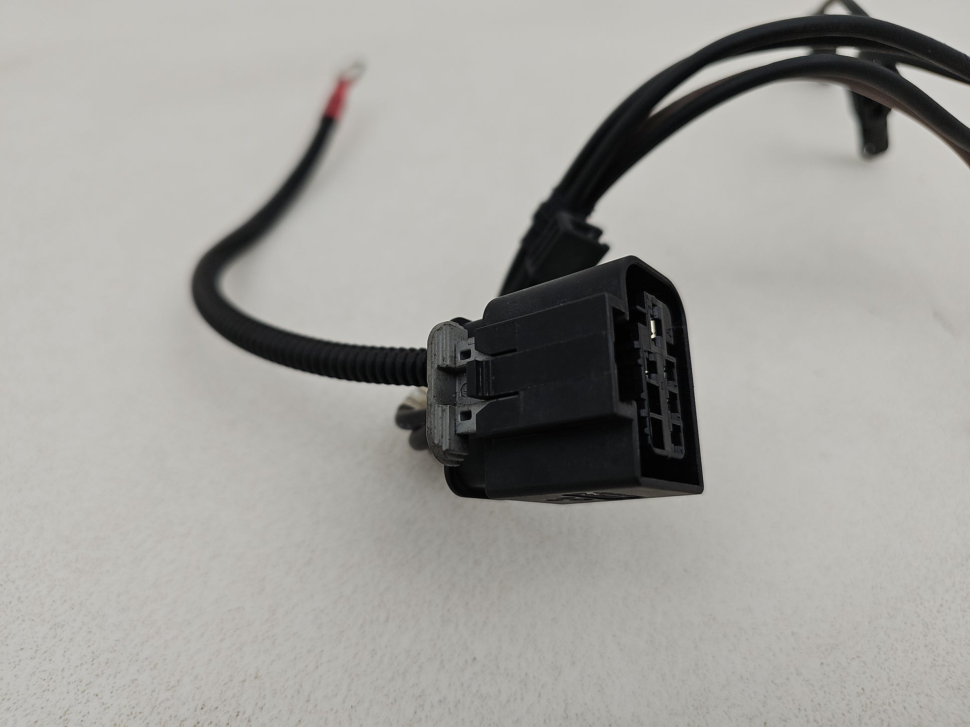 Engine Wiring Harness  2