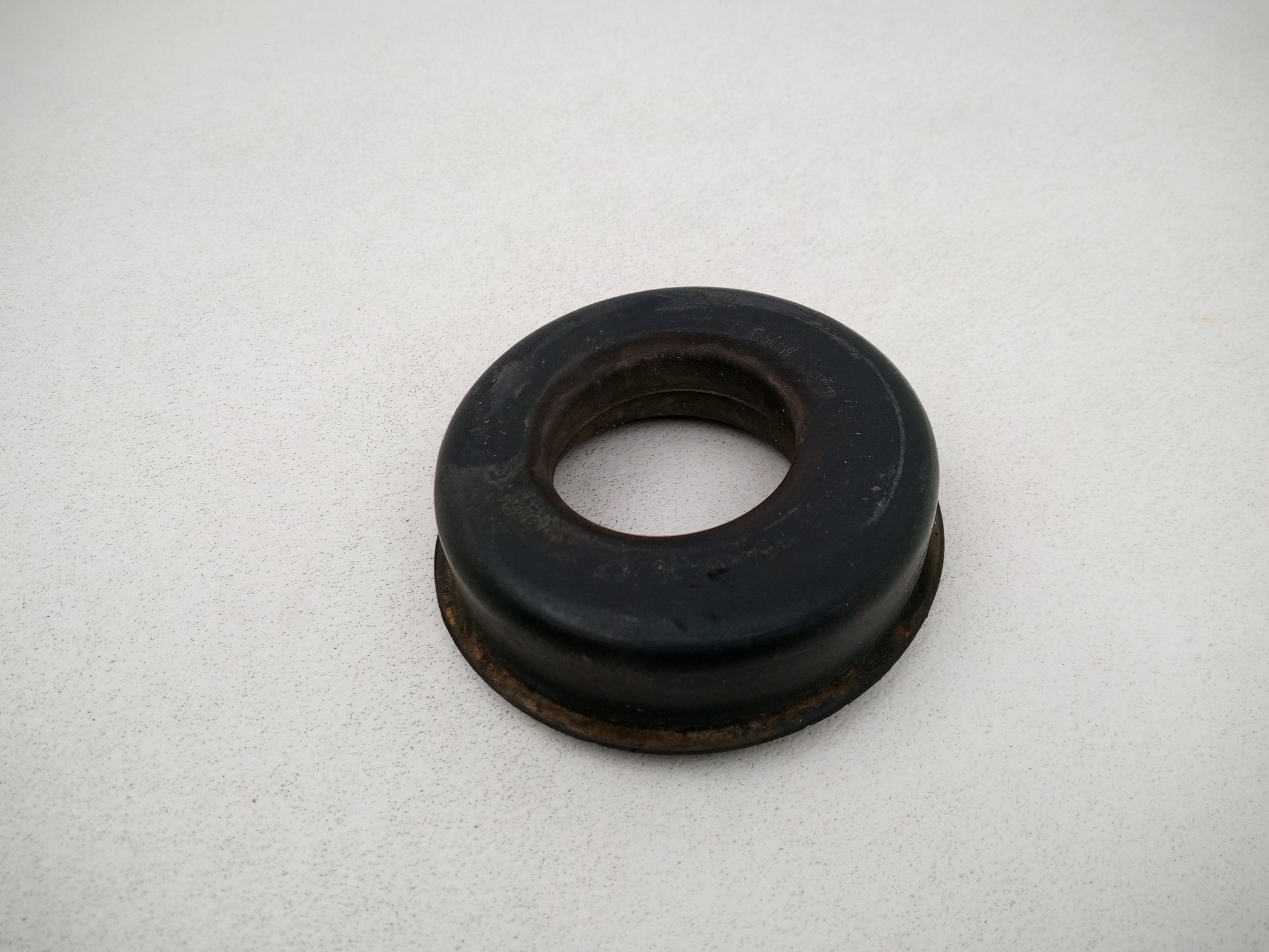 Jason Export Springs 2