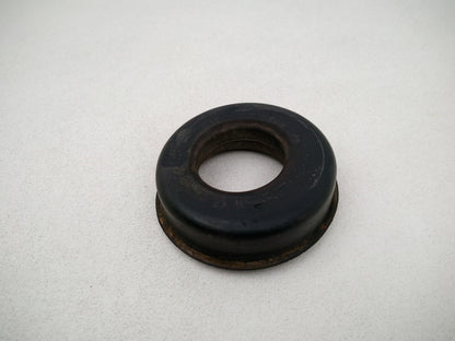 Jason Export Springs 2