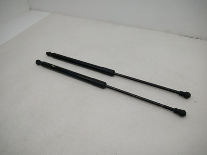 Tailgate Support Strut 2