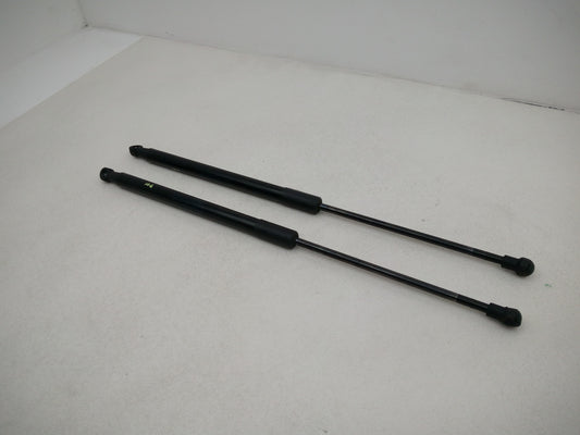 Tailgate Support Strut 2