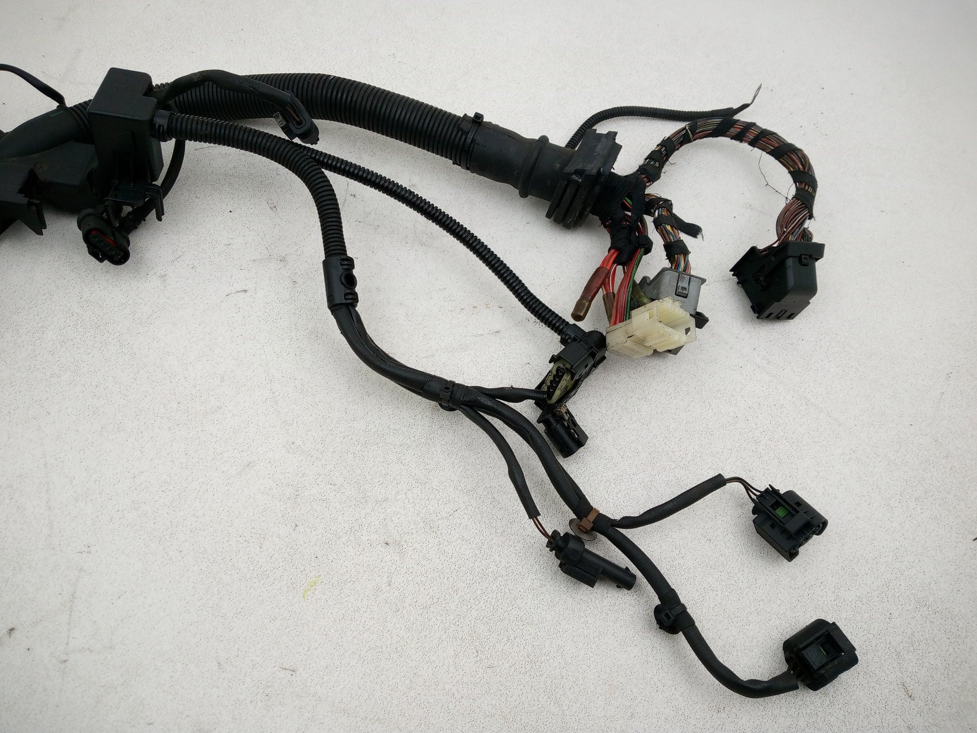 Engine Wiring Harness  2