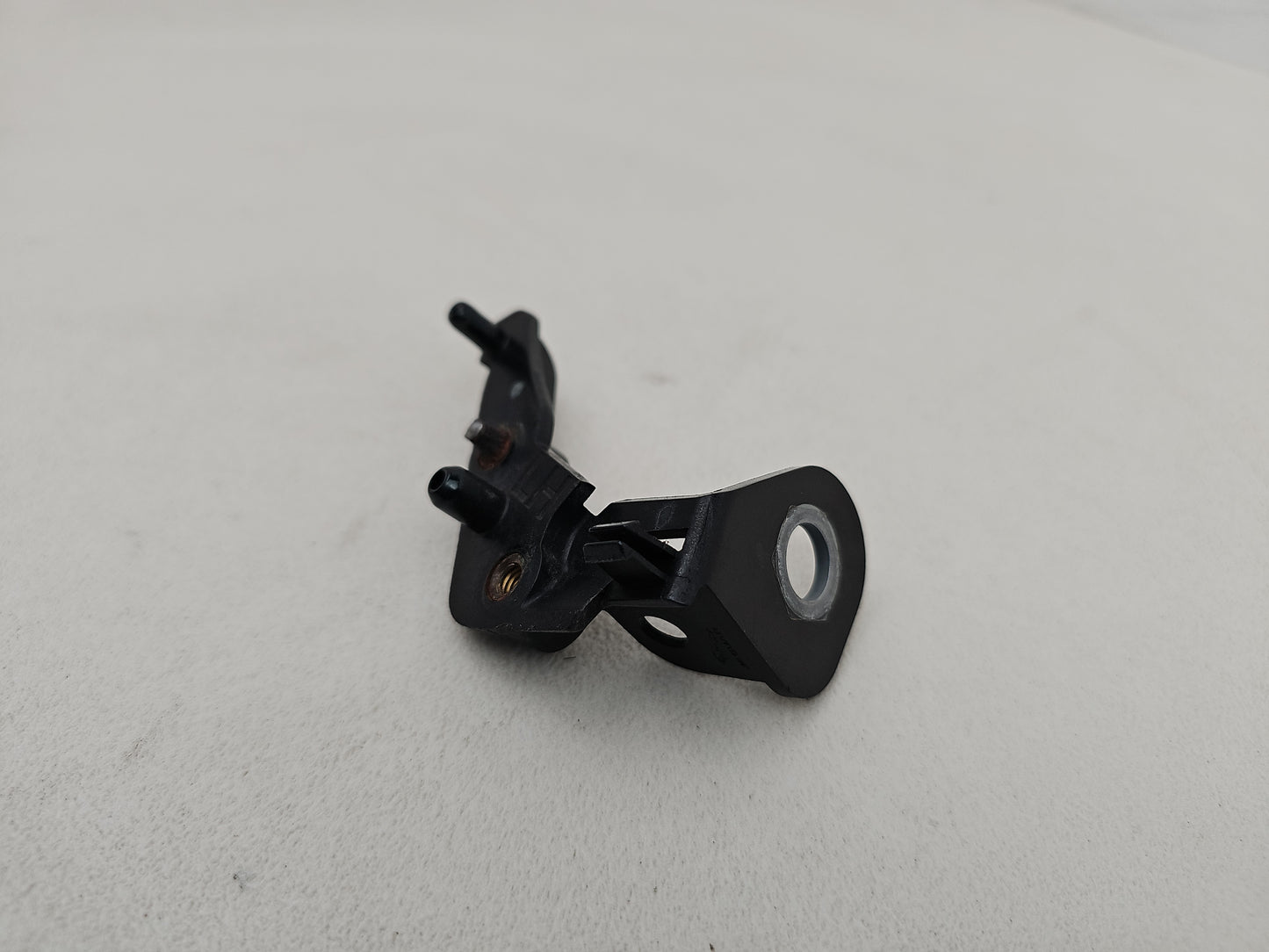 Moulding Insert Wing Front LH 2
