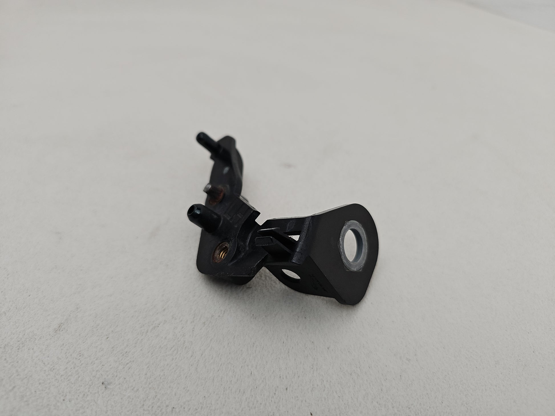 Moulding Insert Wing Front LH 2