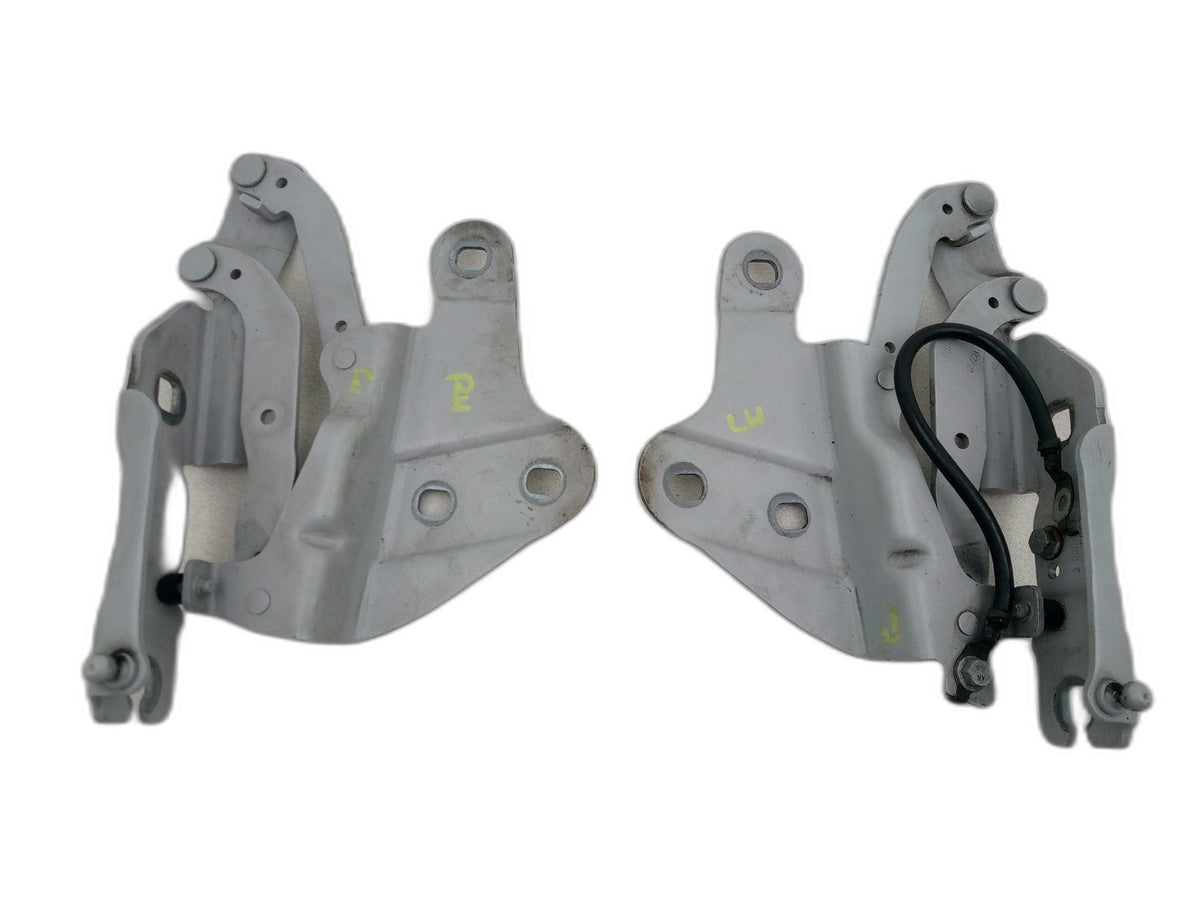 Bonnet Hinges 2